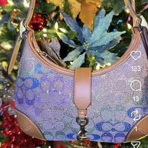 Coach Crystal Rainbow Ombre Signature Hampton Hobo Shoulder Bag